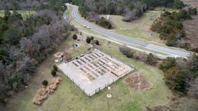 Lewes Community Garden & To Teach a Person to Fish Society Aim to Improve Sustainability