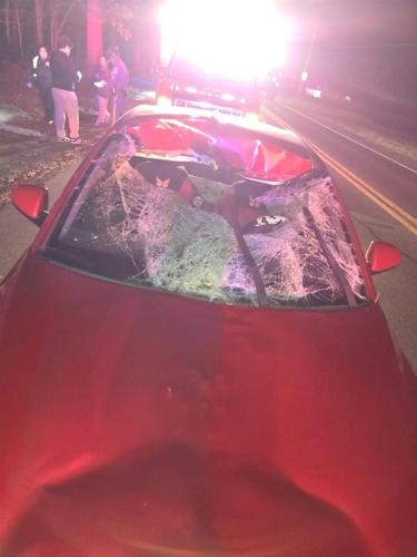 Deer smashes windshield in Long Neck Road crash
