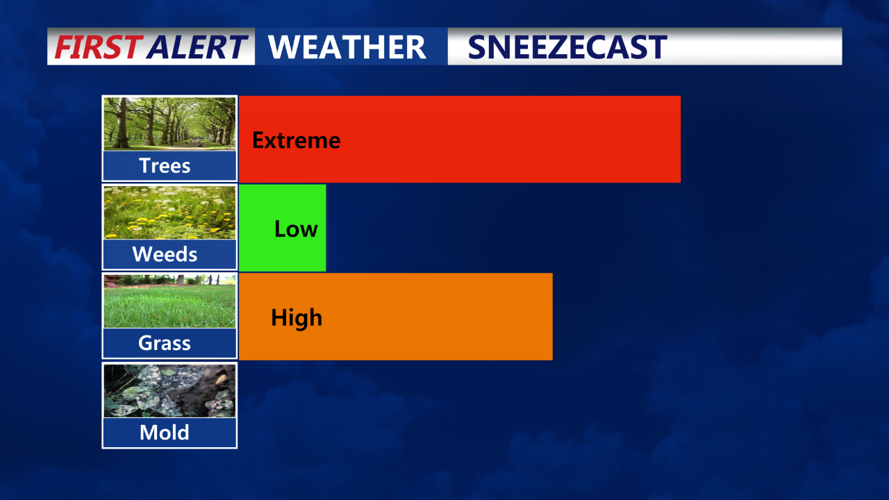 Saturday Sneezecast