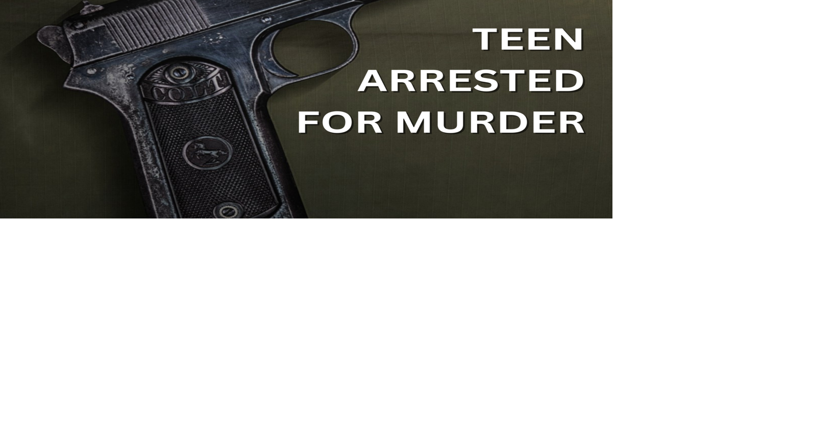 16-year-old arrested for murder in April Salisbury shooting | News ...