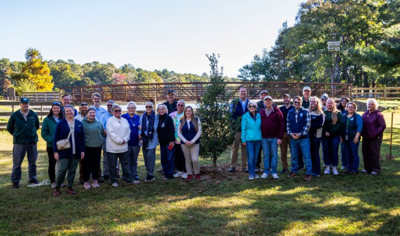 a group of people pose around a tree