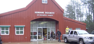 Animal Rescue