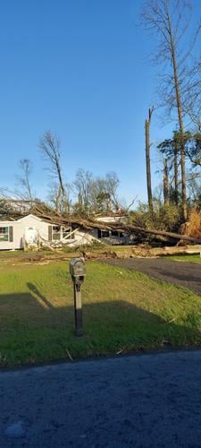 Trees down on a car and a house near Route 13 in Bridgeville.