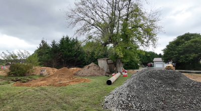 Cave Neck Road Trees
