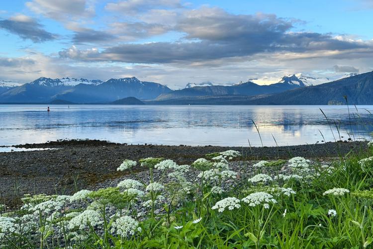 Election 2026 Alaska