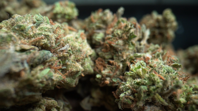 Weed