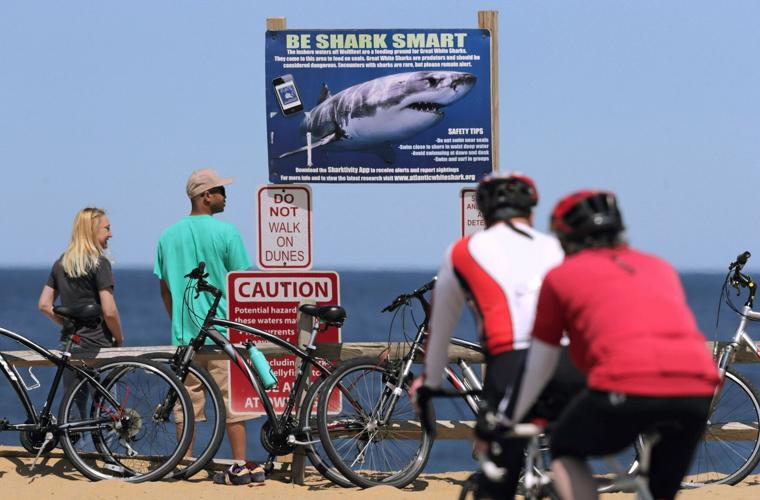 Federal Shark Alerts