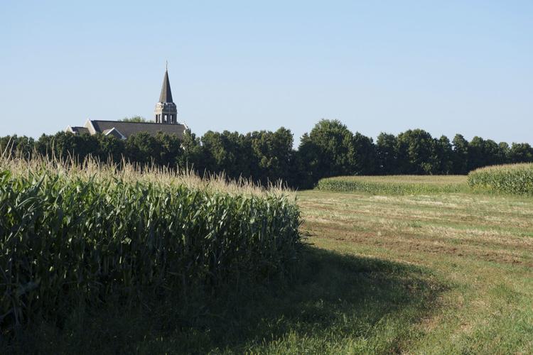 Minnesota Lutherans-Potlucks and Politics