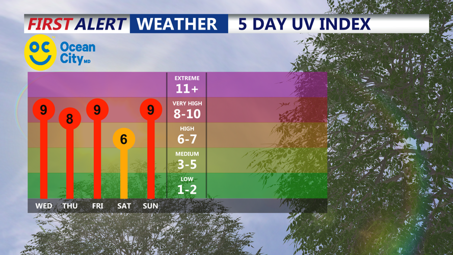 5 DAY UV INDEX