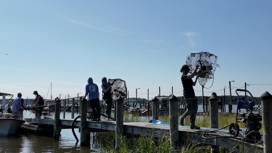 carrying crab pots off the boats