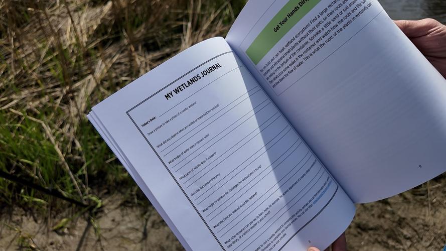 Experiencing wetlands journal page