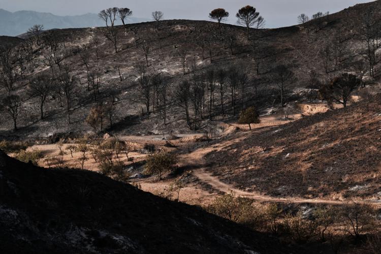 Spain Wildfire