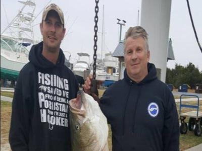 Sixty-Two Pound Record Striped Bass Caught At Indian River Inlet