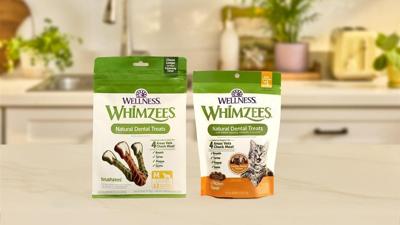 Why dental care is one of the most important ways to support your pet’s overall well-being