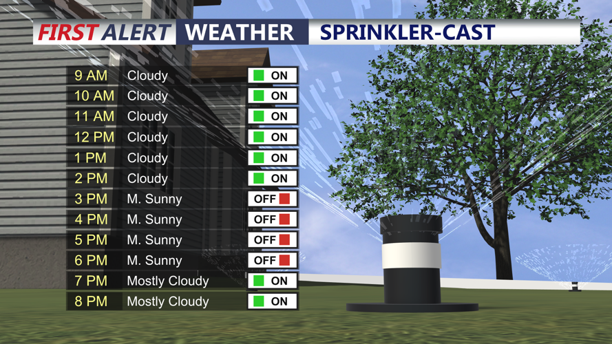 SPRINKLER CAST