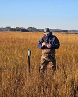 DNREC, EPA study salt marsh health in Sussex County