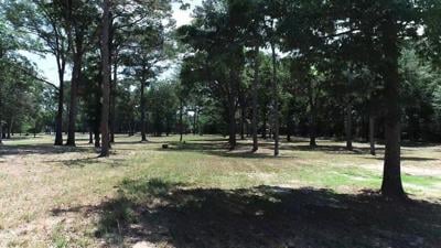 Green Space