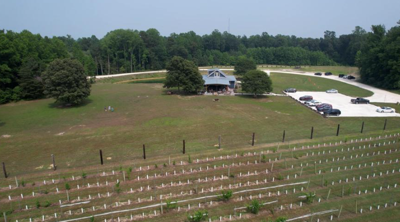 Twin Branch Winery