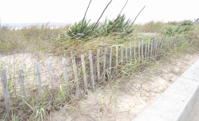 Rehoboth Beach is preparing for high tides and severe winds