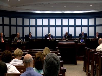 sussex county council