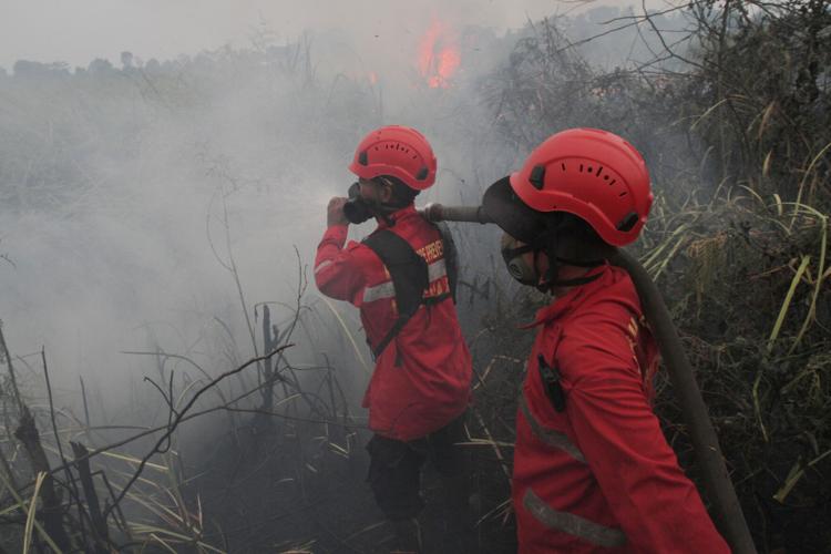 Indonesia Wildfires