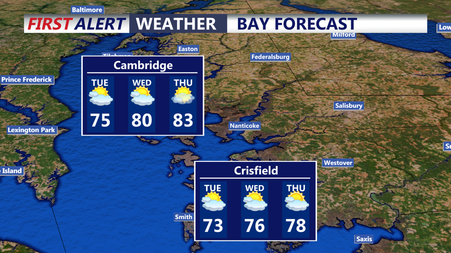 BAY FORECAST