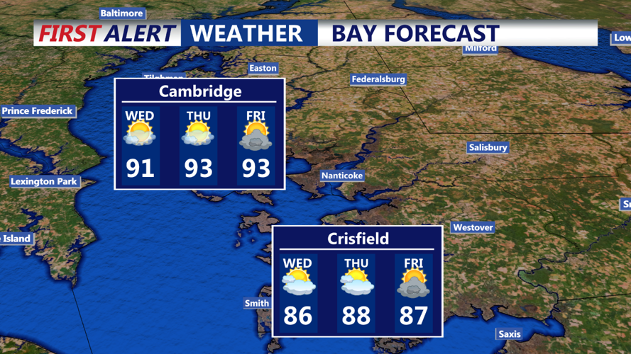 Bay Forecast