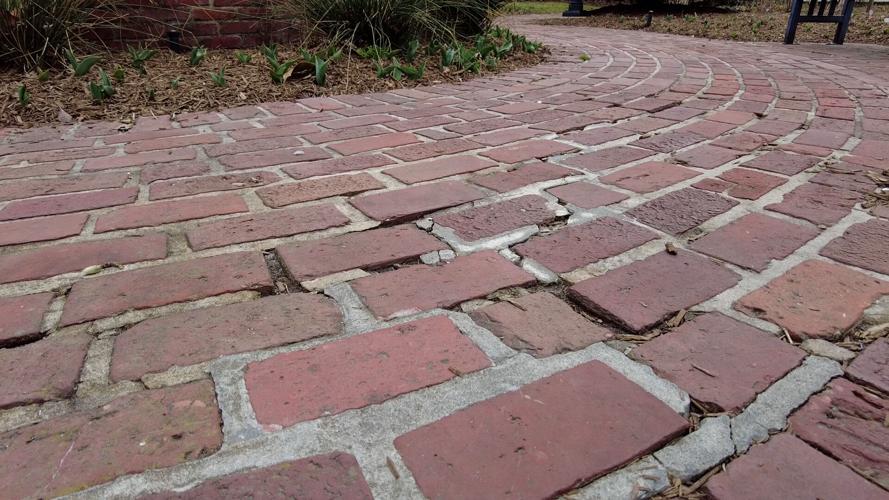 Bricks at Zwaanendael Park
