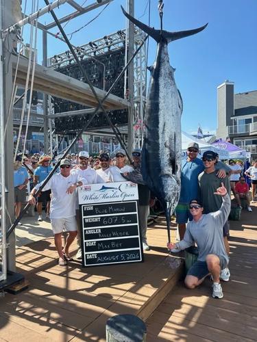 Crew from the Max Bet boat posing with a blue marlin at the scales.