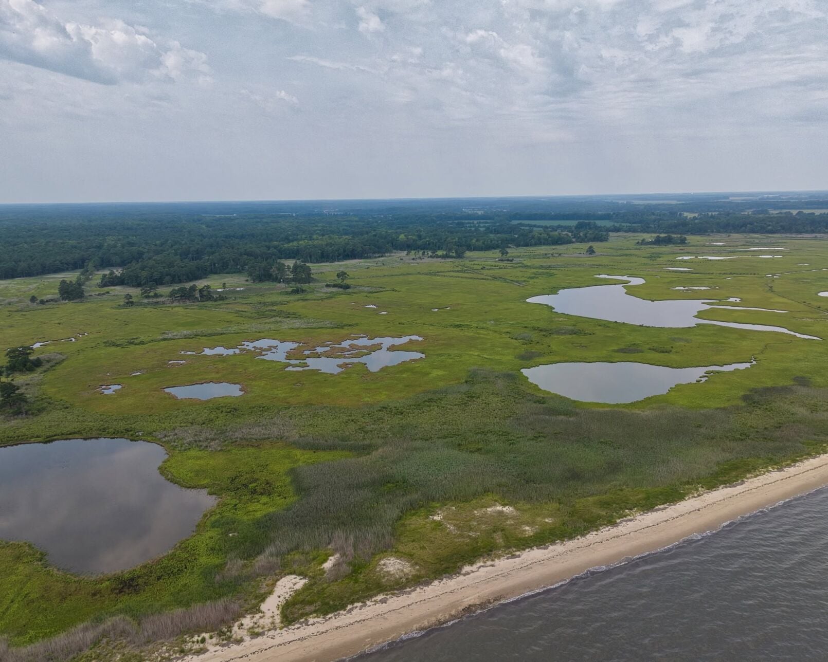 Milford Neck Preserve