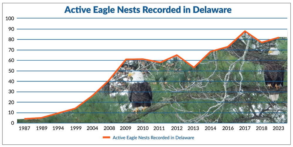 Bald Eagle Population Chart