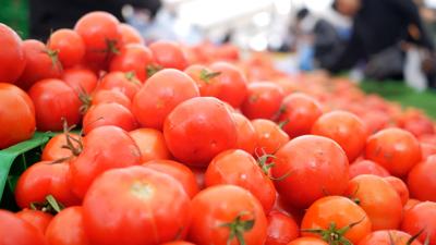 Tomatoes in a bin at a farmers market.