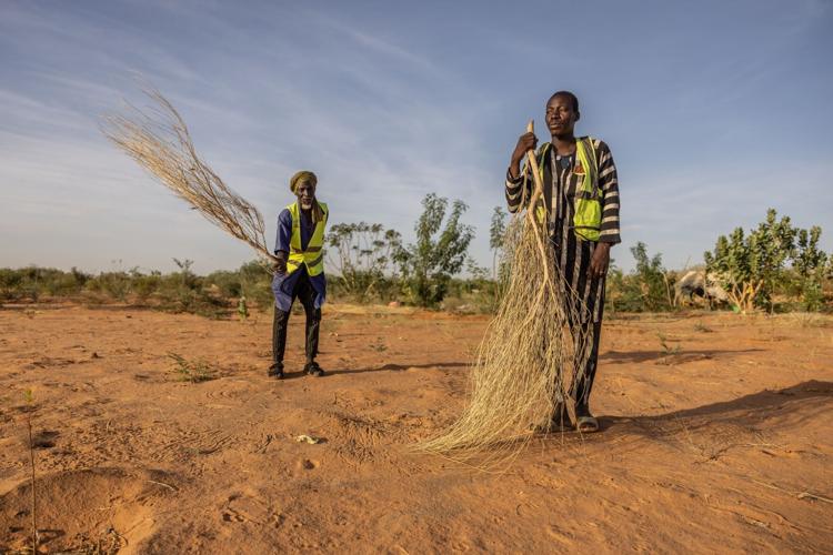 Mauritania Desert Firefighters