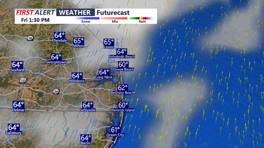 FUTURECAST VIEW