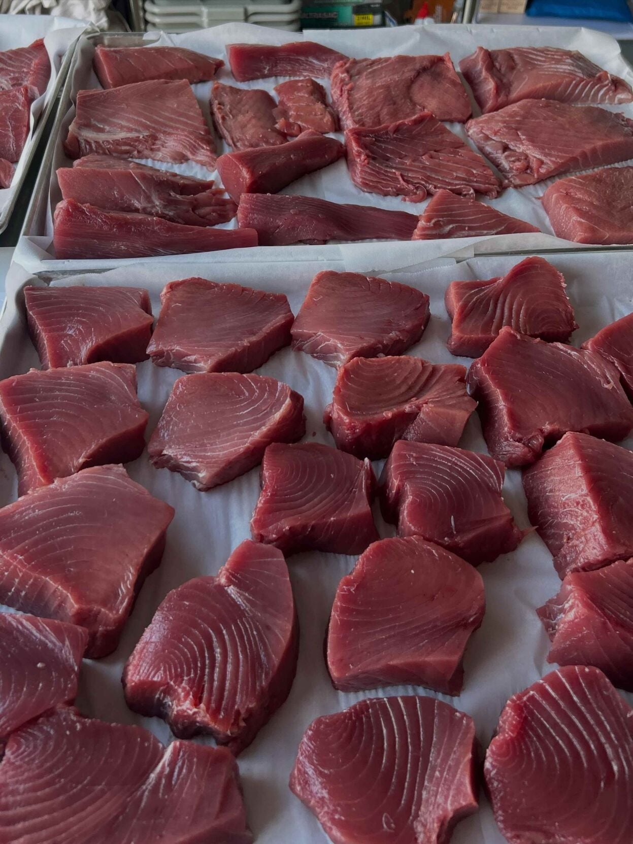 Cuts of pink fish meat lay spread out on a table.