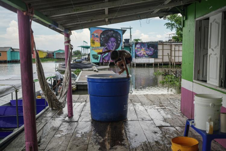 Climate Colombia Invasive Plants