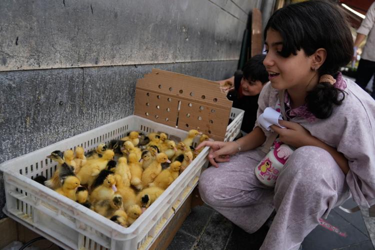 Iran Daily Life