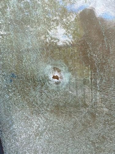 Cambridge Shooting