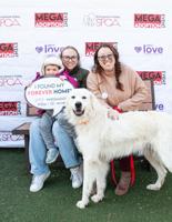 BVSPCA’s December Mega Adoption Event to find homes for hundreds of pets