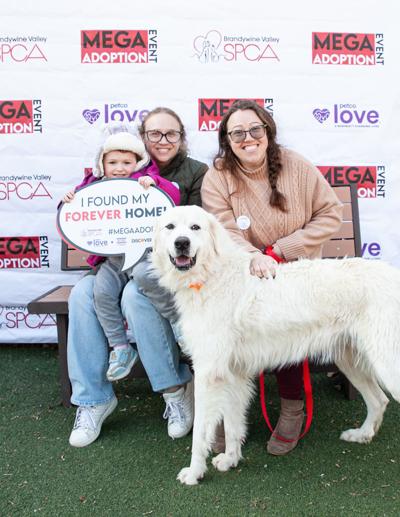 bvspca mega event