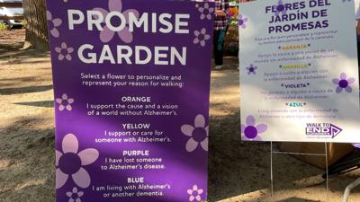 promise garden