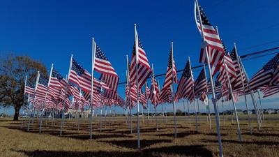 Dozens of American flags.