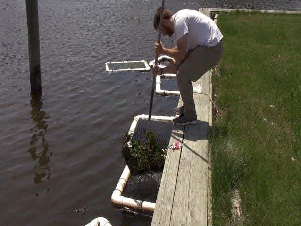 Aquaculture