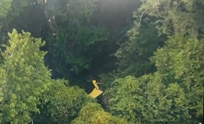 DOVER PLANE CRASH