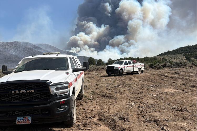 Extreme Heat Deaths