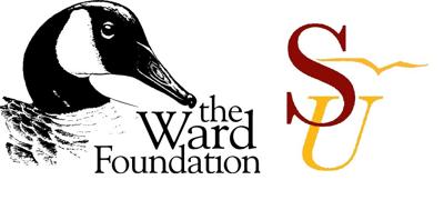 Both the Ward Foundation and Salisbury University issued statements Thursday regarding the Ward Museum's movement to downtown Salisbury and the end of a decades-long relationship.
