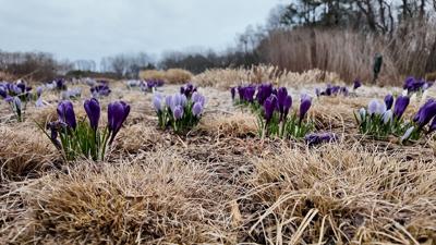 Delaware Botanic Gardens