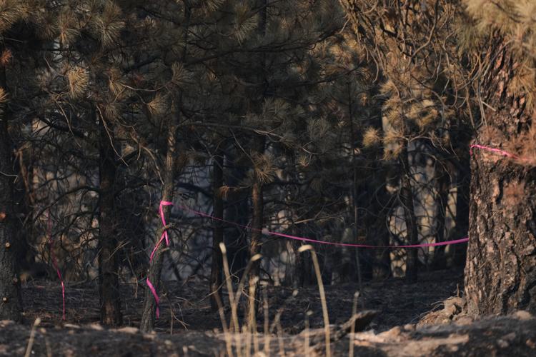 Western Wildfires