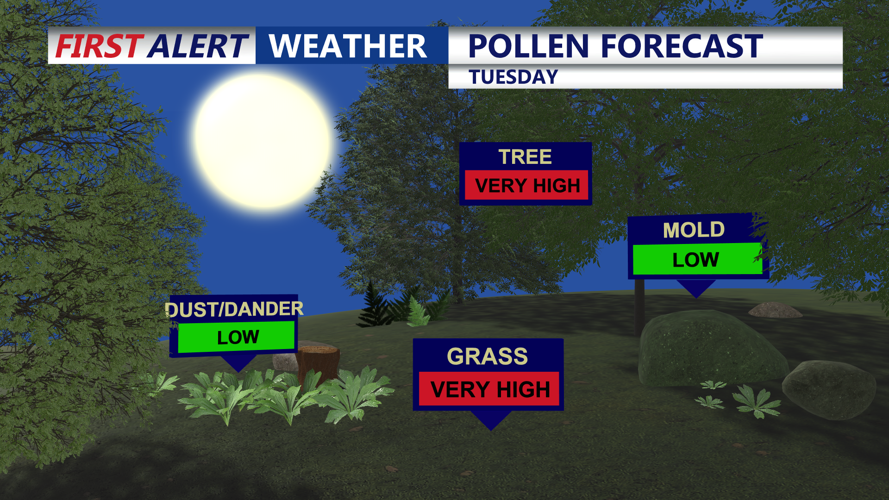 POLLEN FORECAST