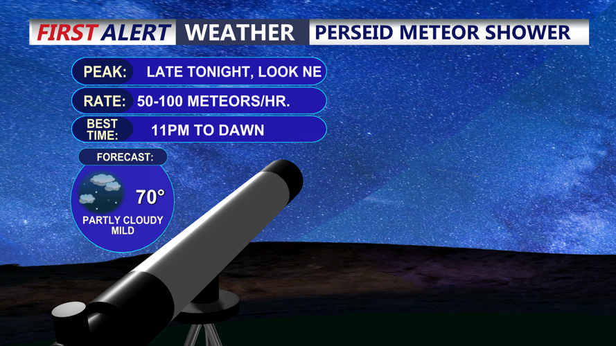 Perseid Meteor Shower